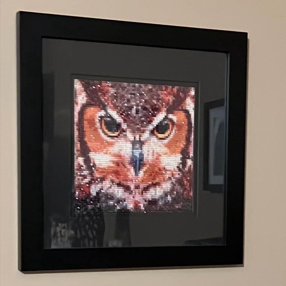New Horn owl